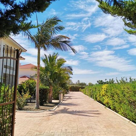 Orchard Blossom Private Villa With Pool Phrenaros Dış mekan fotoğraf