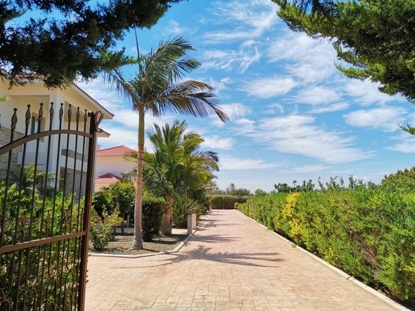 Orchard Blossom Private Villa With Pool Phrenaros Dış mekan fotoğraf