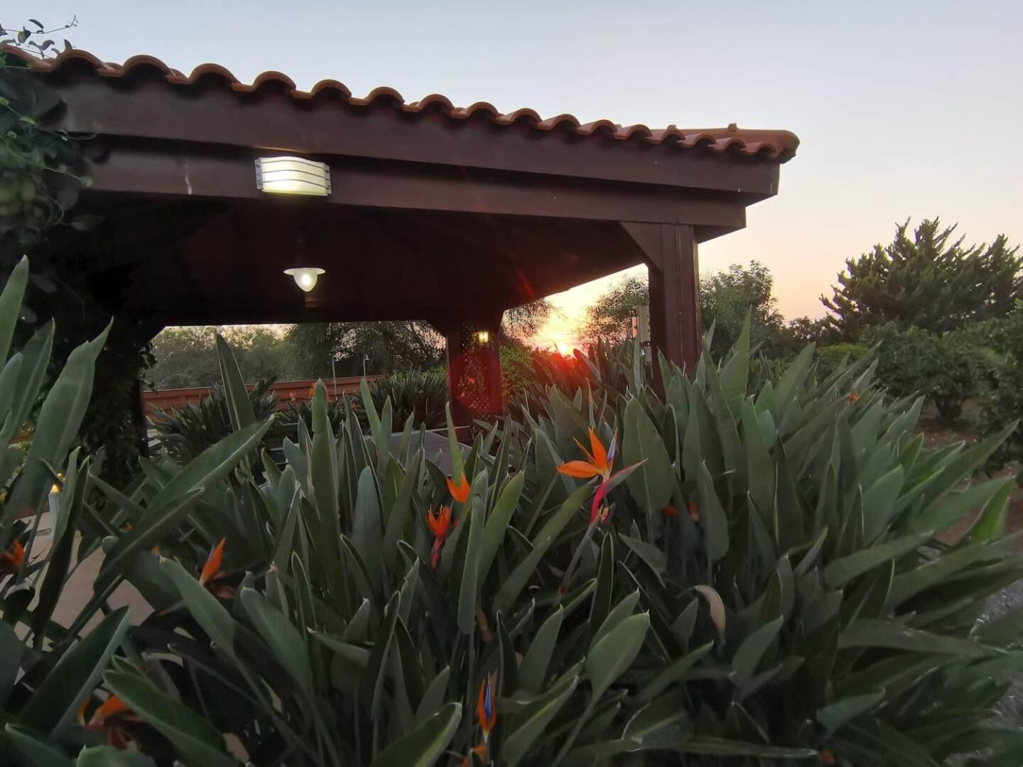 Orchard Blossom Private Villa With Pool Phrenaros Dış mekan fotoğraf