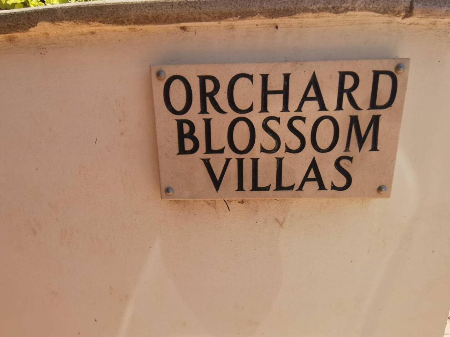 Orchard Blossom Private Villa With Pool Phrenaros Dış mekan fotoğraf