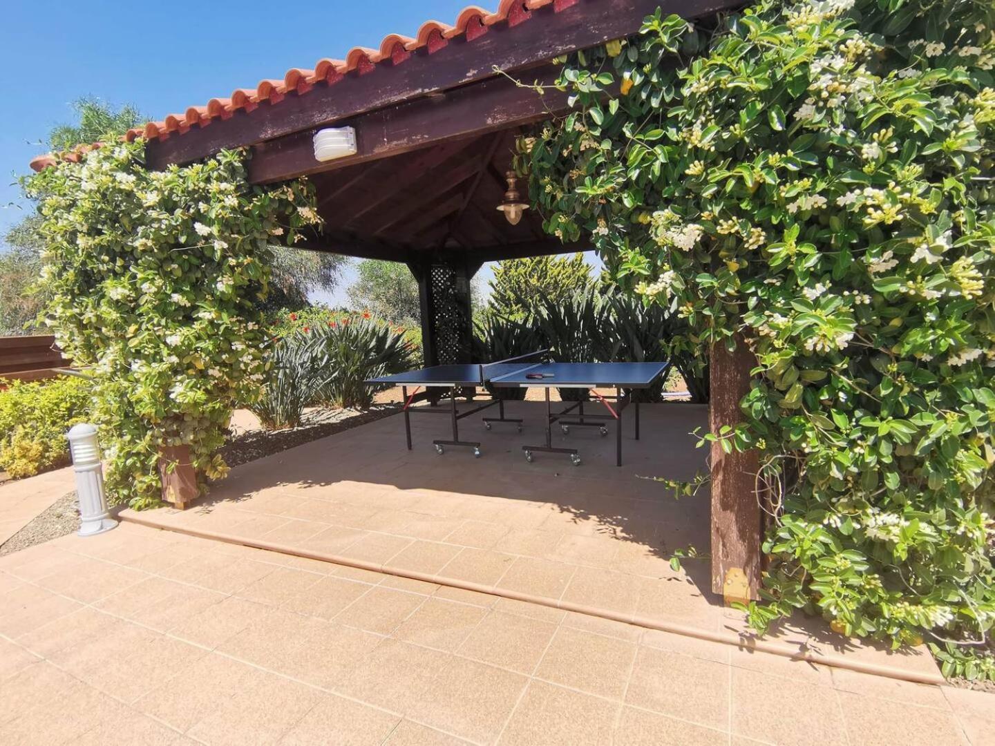 Orchard Blossom Private Villa With Pool Phrenaros Dış mekan fotoğraf