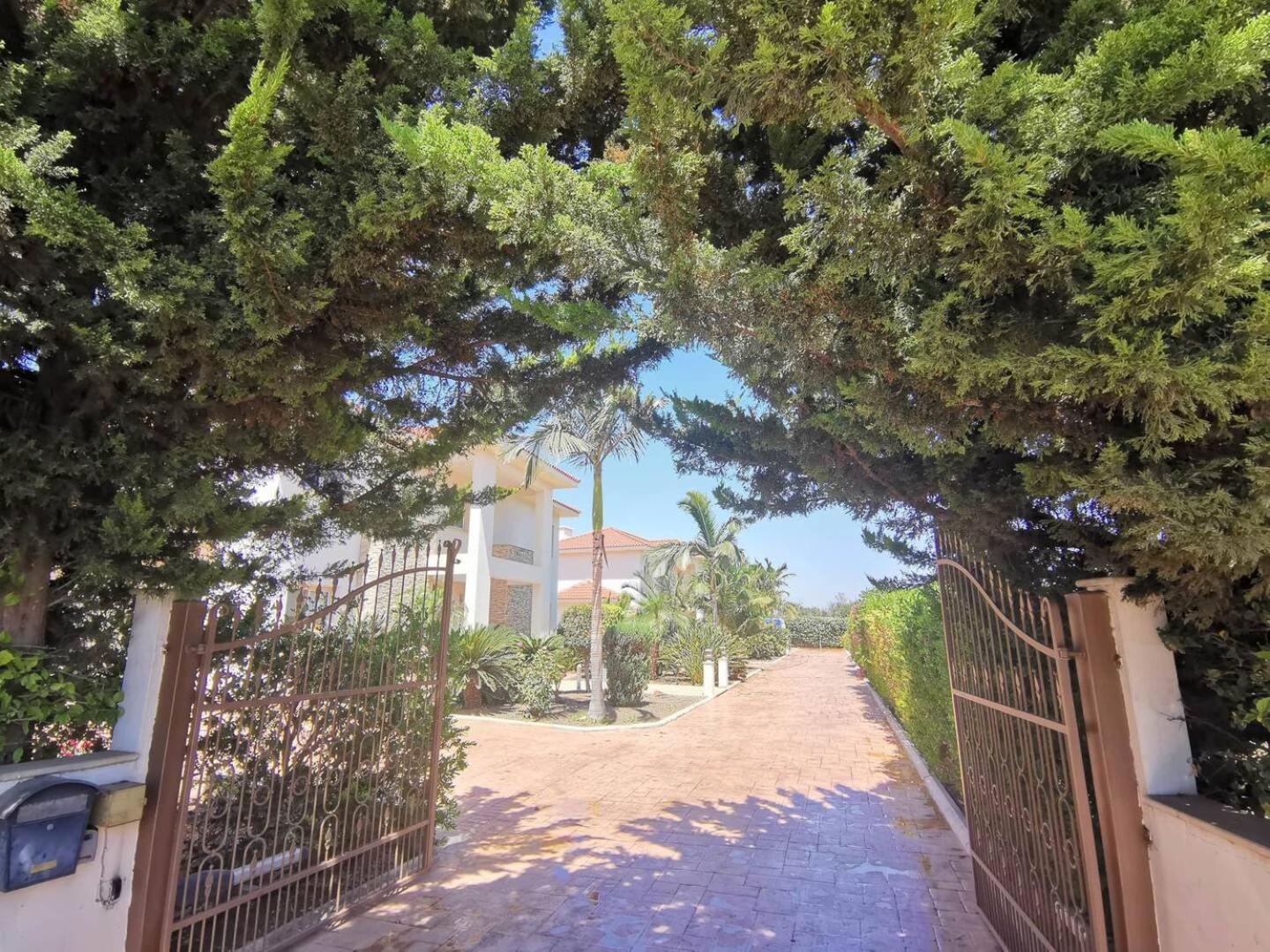 Orchard Blossom Private Villa With Pool Phrenaros Dış mekan fotoğraf